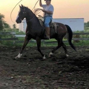 Meet your Posher, Roberto